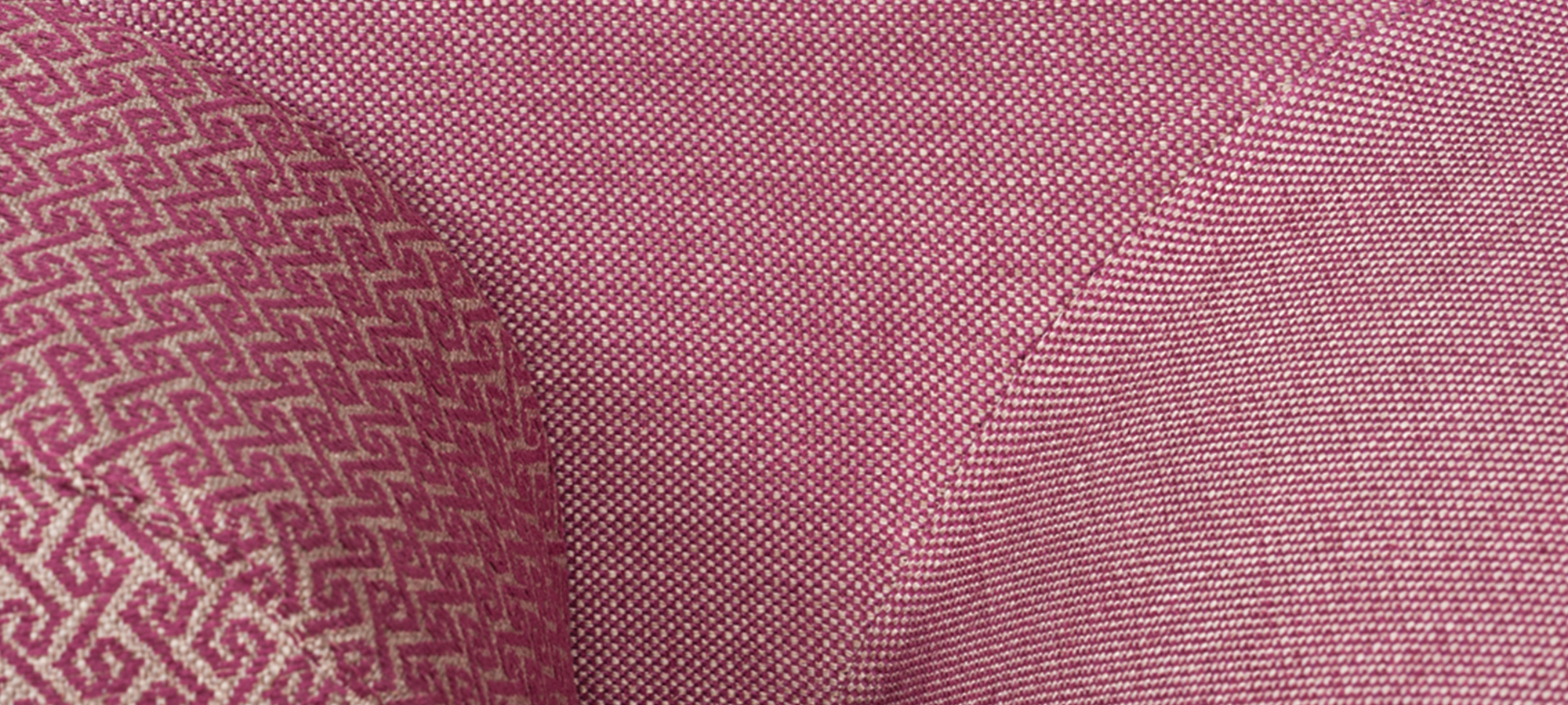 Neli Fatoric_Tulip_05